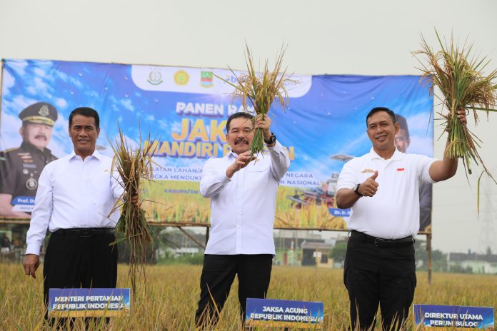 Kejagung Turun Tangan! Swasembada Pangan Bisa Lebih Cepat?