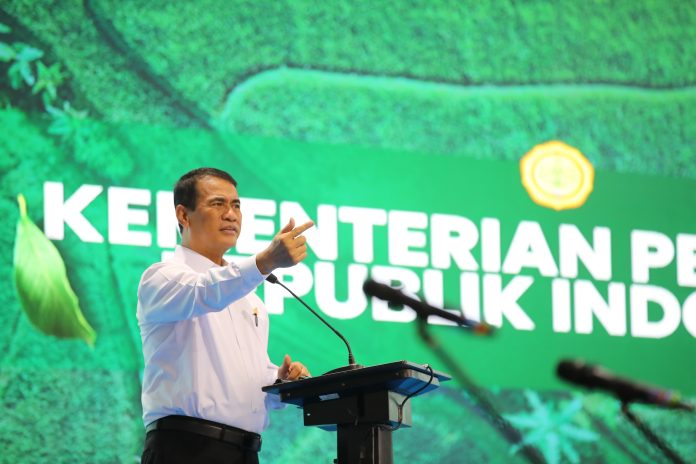 Harga Bahan Pokok Turun Drastis! Petani & Warga Sumringah?