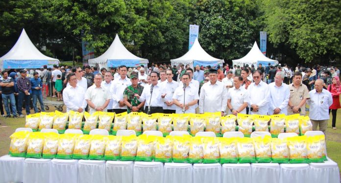 Harga Beras Jeblok! Pemerintah Gelontorkan 43 Ribu Ton, Ada Apa?