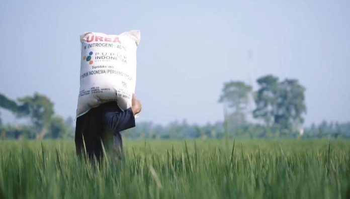 Pupuk Palsu Hantui Petani! Rugi Triliunan Rupiah?
