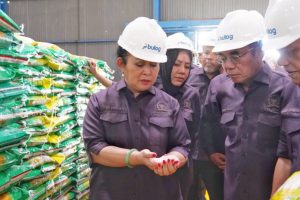 Stok Beras Aman, DPR Ingatkan Mutu Jangan Sampai Kedaluwarsa! Stok Beras Aman, DPR Ingatkan Mutu Jangan Sampai Kedaluwarsa!