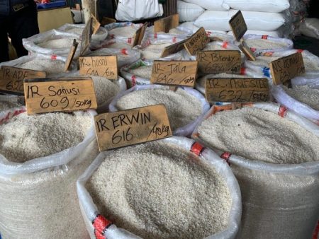 Harga Beras di Papua Bikin Menteri Amran Geram! Ada Apa? Harga Beras di Papua Bikin Menteri Amran Geram! Ada Apa?