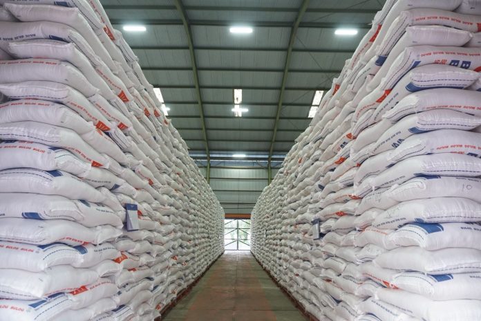 Indonesia Swasembada Pangan 1 Januari: Dunia Terpukau!